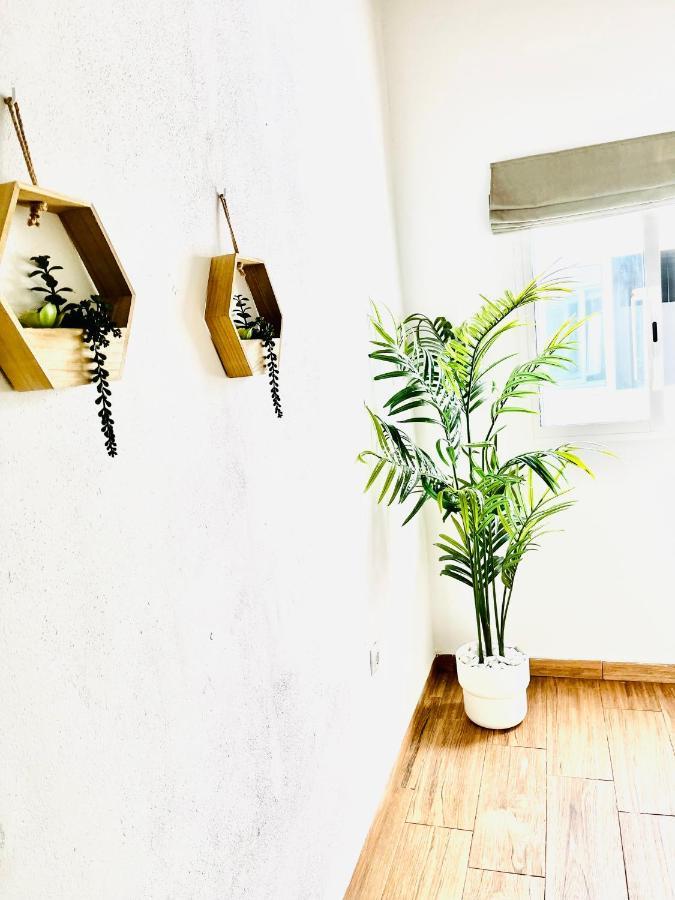 Dakota'S House Apartment La Laguna  Ngoại thất bức ảnh